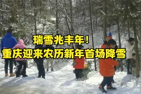 瑞雪兆丰年！重庆迎来农历新年首场降雪视频封面