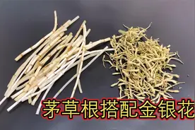 茅草根和金银花一起煮水！视频封面
