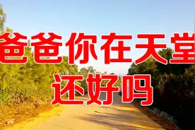 一首《爸爸你在天堂还好吗》唱出了子女心中的苦，听完请不要流泪视频封面