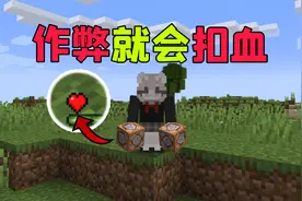 【我的世界】作弊就会扣血！