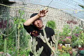 养了5年的家伙终于开花了，虽然很个性，但是却以“臭气”回报我视频封面