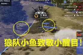 绝地求生EPC决赛：英超狼队小鱼天秀手雷致敬4AM小醒目！视频封面