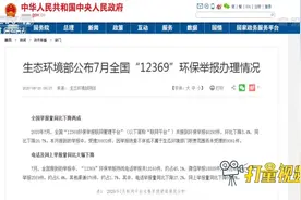 公布7月全国“12369”环保举报办理情况|热线12视频封面