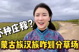 蒙古族汉族牧区怎么分？女汉子回应为啥不种庄稼，看草场一眼就知视频封面