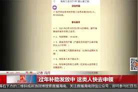 （海南）过年补助发放中 这类人快去申领