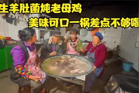 野生羊肚菌炖老母鸡，二娃用墨脱石锅炖了半天，太鲜了一锅不够喝视频封面