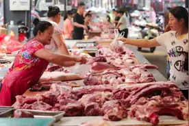 “美猪”入台，本地猪猪价上涨，民进党当局被狠批！视频封面