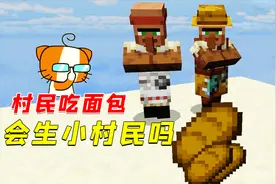 我的世界：给村民送面包，会生小村民吗？结局心态崩了