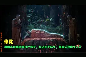 佛陀：释迦牟尼佛回到拘尸那罗，在达娑罗林中，侧卧头顶向北入灭视频封面