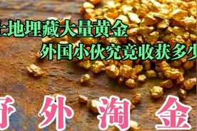 野外淘金：黑土地下面竟然埋藏大量黄金，外国小伙究竟收获多少？视频封面