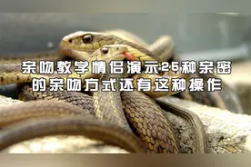 亲吻教学情侣演示25种亲密的亲吻方式还有这种操作【转载】