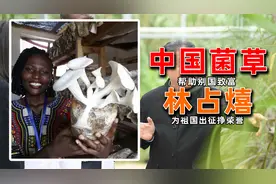 中国菌草有多厉害？被联合国列为重点项目，各国纷纷来学习技术！视频封面
