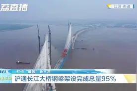打卡最靓长三角|沪通长江大桥要来了！南通坐火车到上海只需1小时视频封面