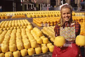 世界上最大的芝士生产国排行，牛奶生产这么多的中国竟然没有上榜视频封面