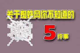 我的世界：蜘蛛网你不知道的事，简易红石中继器了解一下？
