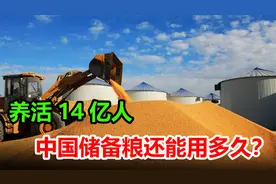 中国储备粮有多少？养活14亿人，中国储备粮还能用多久？视频封面