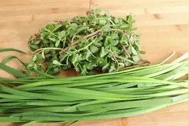 马齿苋新吃法，加一把韭菜，味道鲜美有营养，做法简单，超解馋视频封面