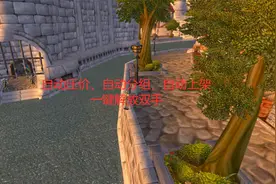 魔兽世界怀旧服：自动上架道具的拍卖行插件，一键解放双手视频封面