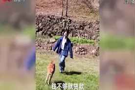 90后女大学生辞职回家当起“放牛娃”，每天边放牛边跳舞视频封面