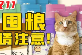 常见的错误猫粮储存方式，你是不是中招了？视频封面