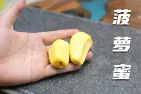 吃完菠萝蜜后籽不要扔，拿个旧花盆，装点儿土，2个月变成大盆景视频封面