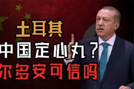 绝不允许针对中国！土耳其强硬声援中国，真心实意还是另有目的？视频封面