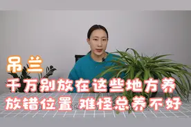 吊兰可别放在这些地方养，放错位置，难怪总养不好视频封面