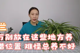 吊兰可别放在这些地方养，放错位置，难怪总养不好视频封面