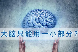 人类真的只能使用大脑容量的一小部分？视频封面