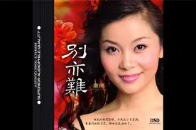 童丽 - 別亦难 极品女声专辑 试人声的极品专辑 DSD超高音质