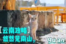 北京到云南旅游，抖音上云南低价旅游是真的吗？轻旅GO了没~视频封面