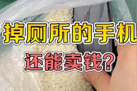 手机掉厕所千万不要慌，教你一招轻松解决视频封面