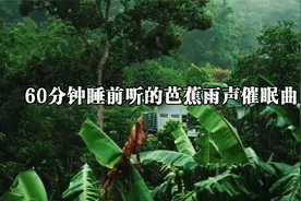 60分钟雨声催眠曲深度睡眠，减压放松，睡前听超级治愈，值得收藏视频封面