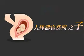 怀孕时宫腔竟能撑大到1000倍？女性怀孕后的子宫有啥变化？快来看视频封面