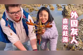 小章第一次带老外赶海，克里斯看到章鱼很兴奋，居然还抓到大龙虾