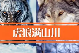 千年前的古人就观测到厄尔尼诺现象了，你敢信？视频封面
