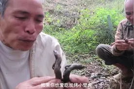 越南老叔休闲小零食火烤四脚蛇视频封面