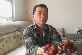 红枣硬如石头咬不动，枣农教你这样做，1分钟想怎么吃就怎么吃