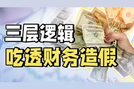 【深度】复盘獐子岛、康美药业，揭秘财务造假的通用模型视频封面