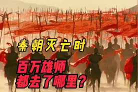 秦朝灭亡时，百万雄师都去了哪里？为啥刘邦轻易就将咸阳攻下？视频封面