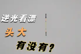 水面反光看不清浮漂？不用加粗尾不戴偏光镜，这方法真是绝了！