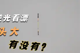 水面反光看不清浮漂？不用加粗尾不戴偏光镜，这方法真是绝了！