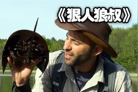 狼叔挑战蜈蚣，巨型大黄蜂，毒性极强疼痛难忍，被迫中断节目录制视频封面