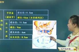 妇产科-女性生殖系统解剖与生理-骨盆：中骨盆、出口平面的特点
