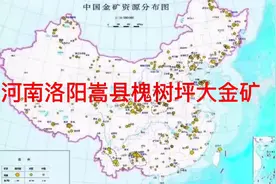 河南省洛阳市嵩县槐树坪发现大金矿视频封面