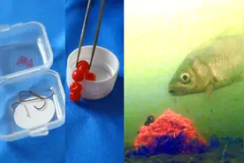 鱼眼不能辨颜色吗？钓了十几年鱼，这个问题是否搞明白了？视频封面