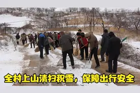 山西吕梁山区，再次迎来降雪，全村总动员上山扫雪，保障出行安全
