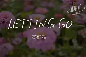 蔡健雅 - LETTING GO｜完整版｜动态歌词LyricsVideo｜无损音质