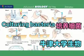 P276 Culturing bacteria 常荣讲牛津高中生物BIOLOGY OXFORD视频封面