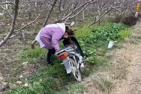 媳妇骑摩托车带老公兜风，结果媳妇连人带车掉沟里，老公慌了视频封面
